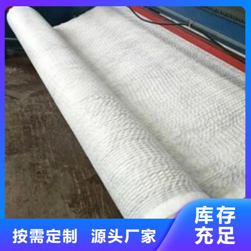 国标网芯复合排水网生产基地/实地考察当地品牌