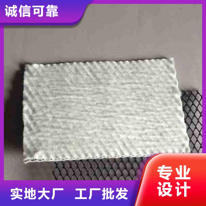 护坡防尘三维复合排水网价格/报价本地品牌