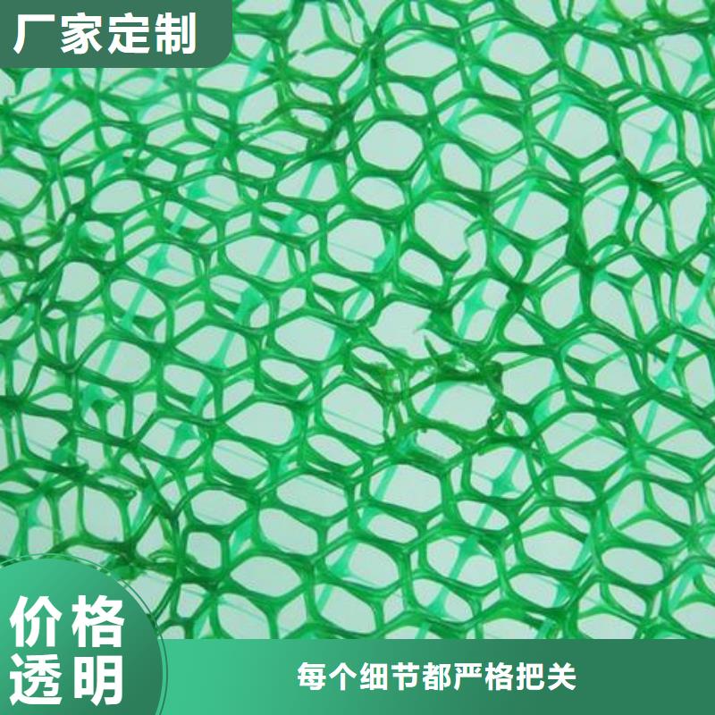三维土工网垫厂家三维植被网垫价格生产厂家当地供应商