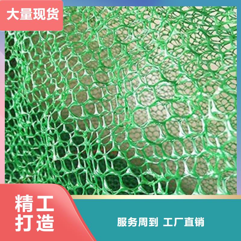 三维植被网厂家土工网垫价格生产基地同城生产厂家