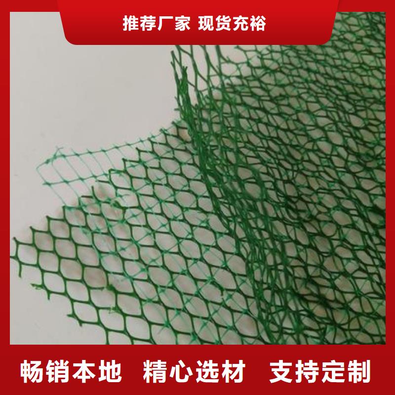 三维植被网厂家三维网垫价格生产厂家检验发货