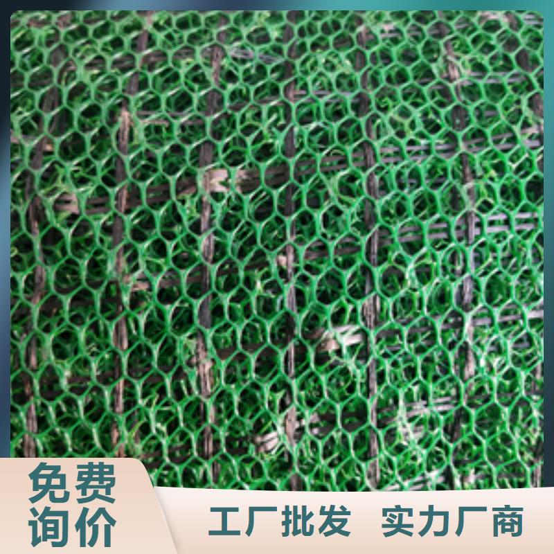 三维土工网符合行业标准