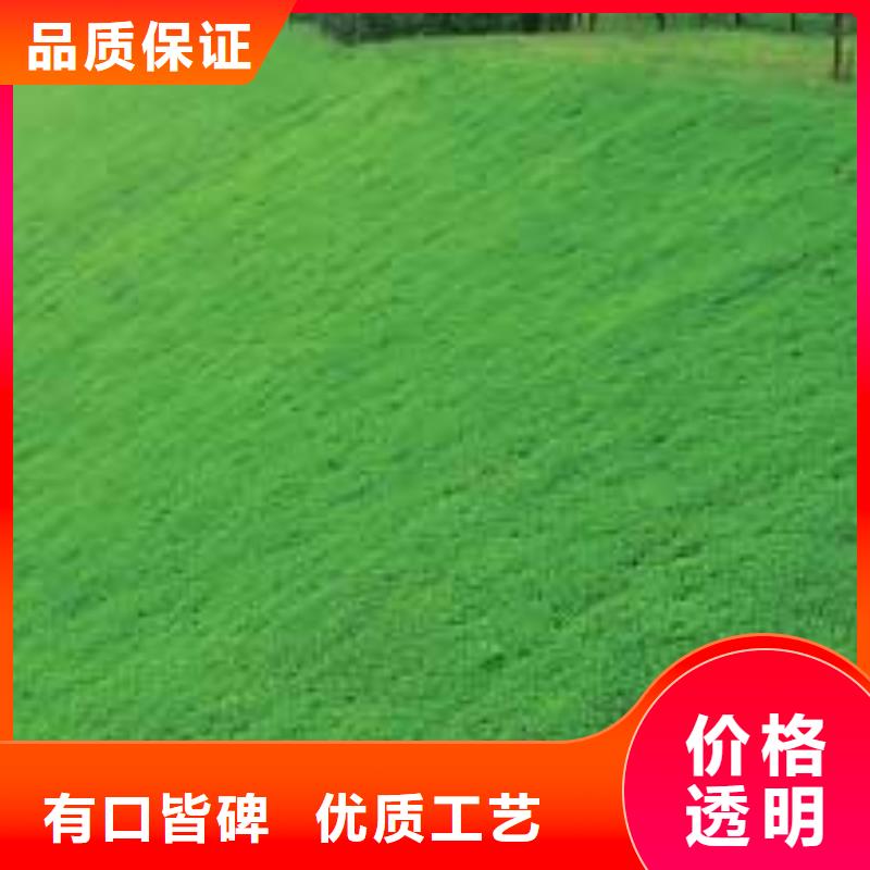 三维植被网厂家厂家实力大