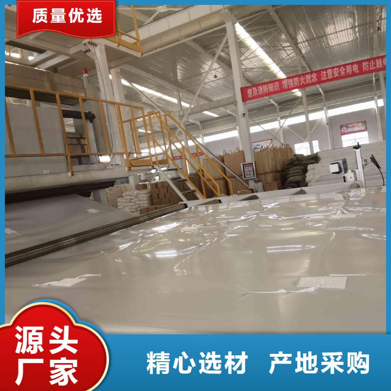 防水板,EVA防水板,防渗膜,土工膜厂家,土工布价格源头厂家