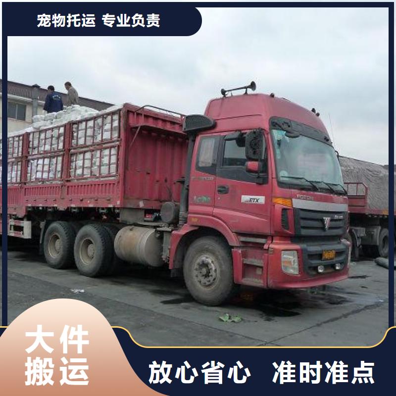 佛山南海丹灶到山东枣庄薛城区物流货运公司专线天天发车