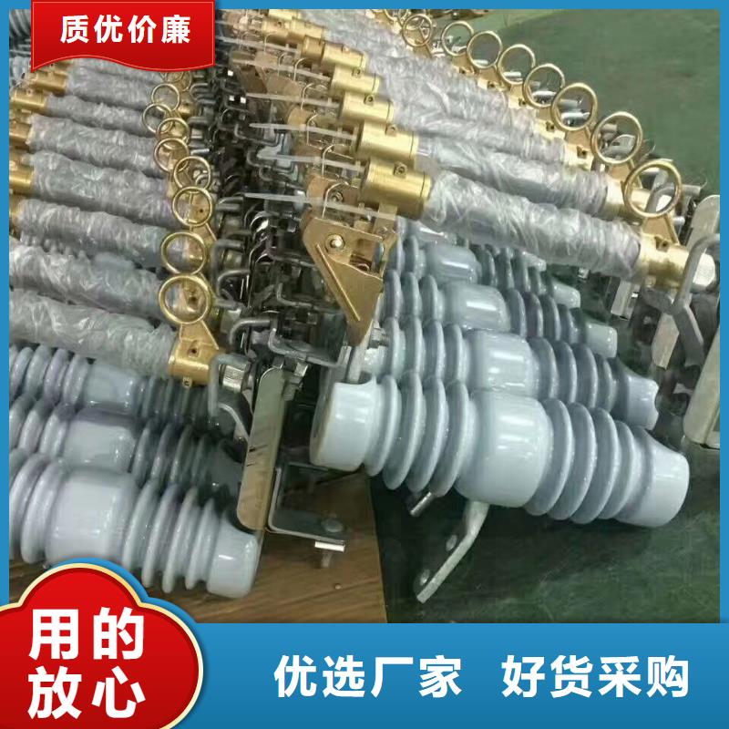 BRN-10/5A高压限流熔断器当地厂家