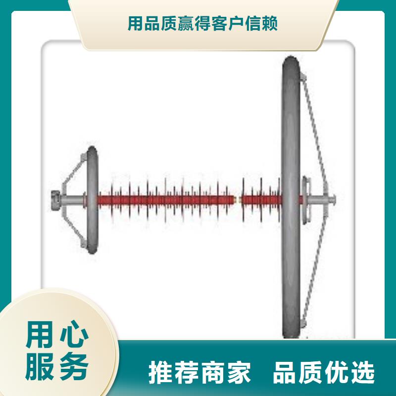 FZS-110/10高压绝缘子哪里有厂家直销供货稳定
