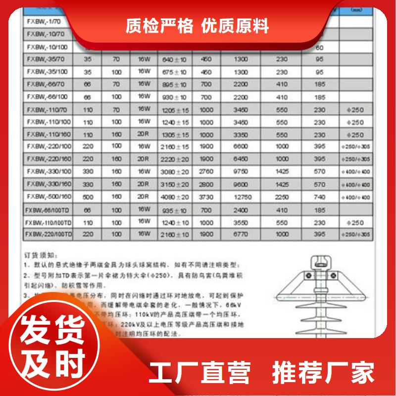 ZN3-10Q/70*13010KV支柱绝缘子哪里有本地货源