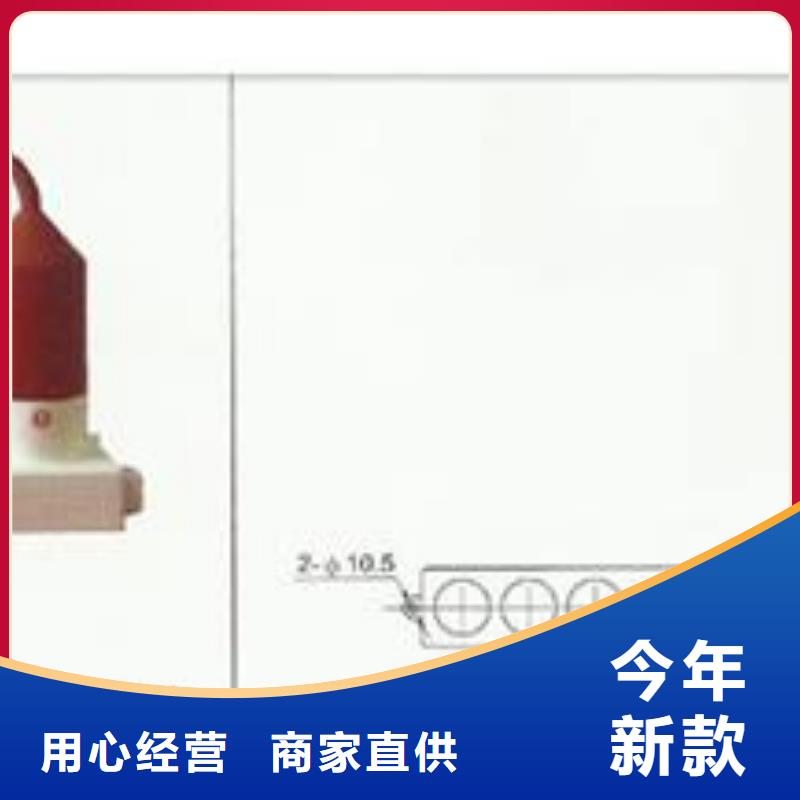 TBP-B-42/200F三相组合式避雷器准时交付