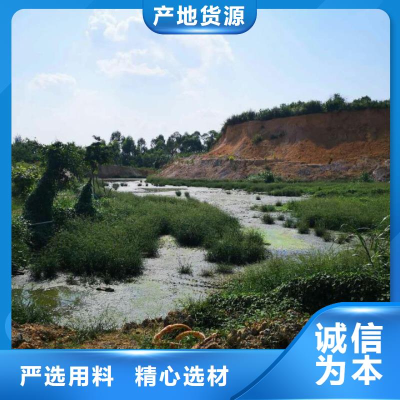 造纸污泥处理广东佛山土壤固化淤泥软土处理价格定金锁价
