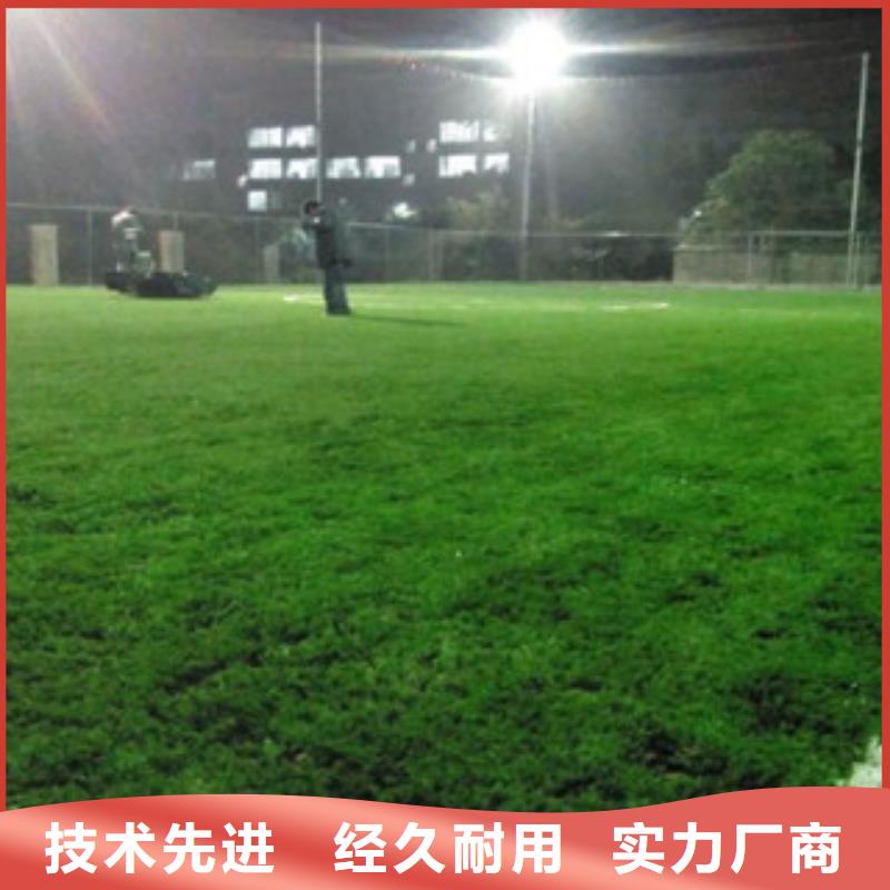 门球场人造草坪生产商当地货源