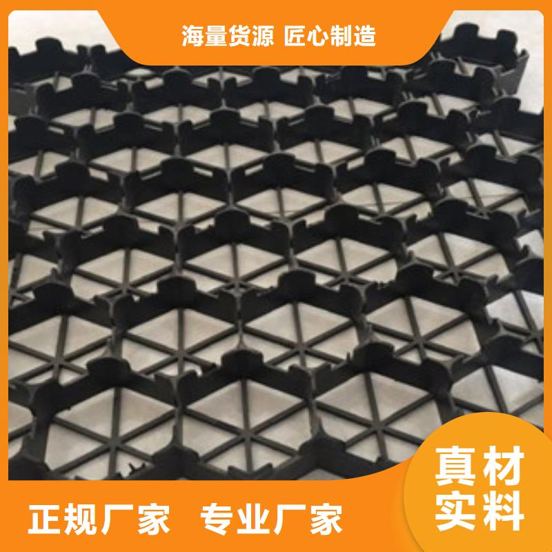 停车位植草格用途实力优品