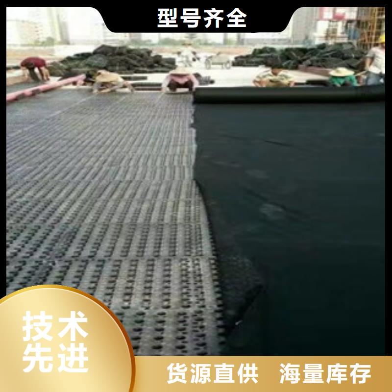 蓄水排水板泰安富泰土工材料有限公司厂家价格本地供应商